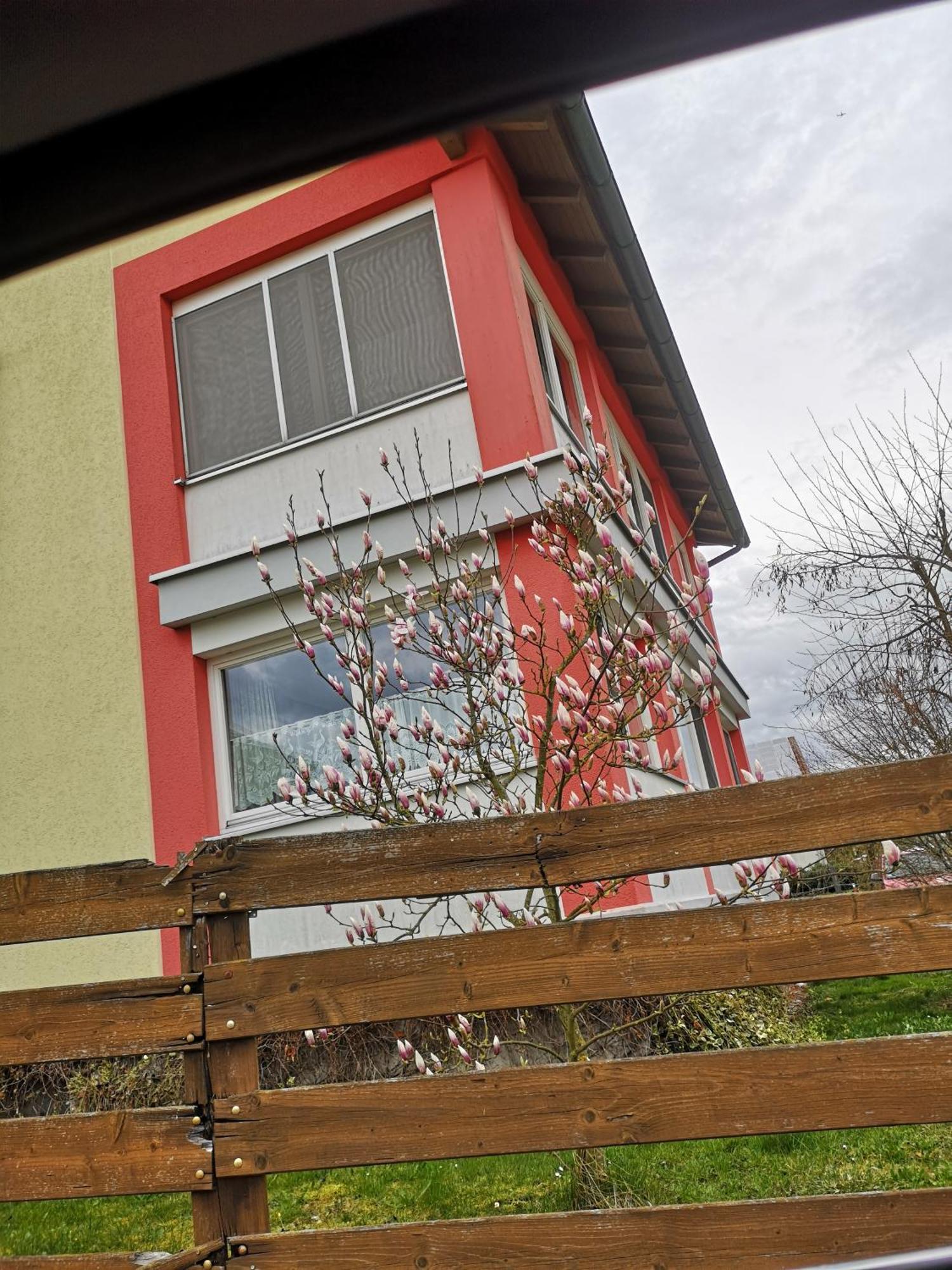 Vermietung Gisl Wiesent Exterior foto